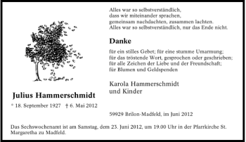 Todesanzeige von Julius Hammerschmidt von Rheinische Post