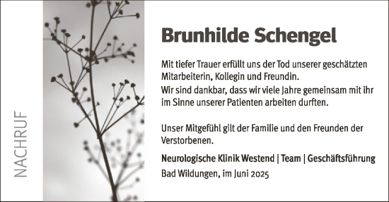 Todesanzeige von Brunhilde Schengel von WLZ