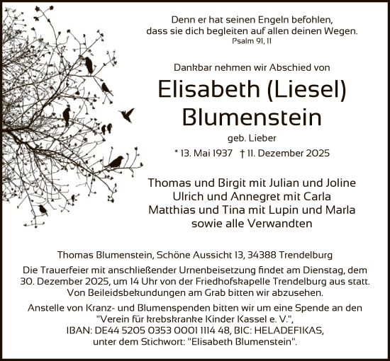 Todesanzeige von Elisabeth Blumenstein von HNAHNA