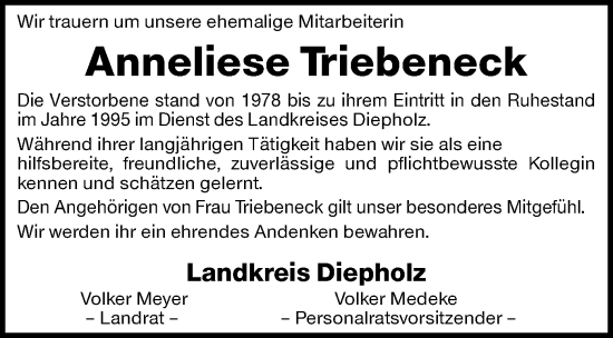 Todesanzeige von Anneliese Triebeneck von SYK