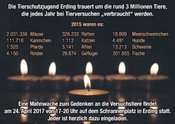 Todesanzeige von Zum Gedenken Tierschutzjugend Erding von merkurtz