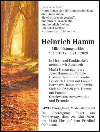 Todesanzeige von Heinrich Hamm von trierischer_volksfreund