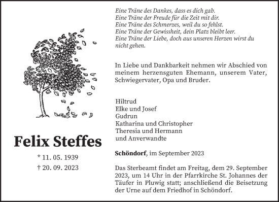 Todesanzeige von Felix Steffes von trierischer_volksfreund
